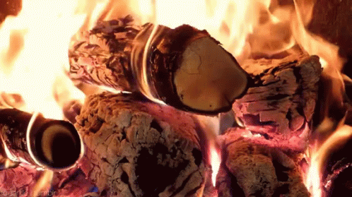 wood gif fire wood burning discover share gifs