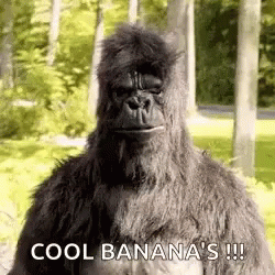 Cool Cool Bananas GIF - Cool CoolBananas ThumbsUp GIFs