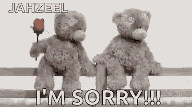 sorry teddy bear