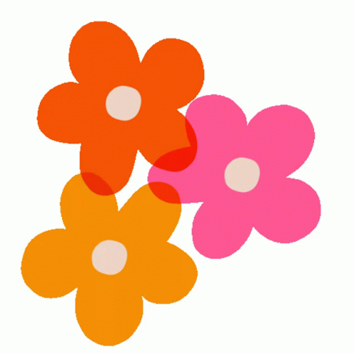 Flowers Aster GIF - Flowers Aster Bright - Discover & Share GIFs