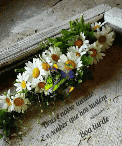 tenor.gif?itemid=15297293