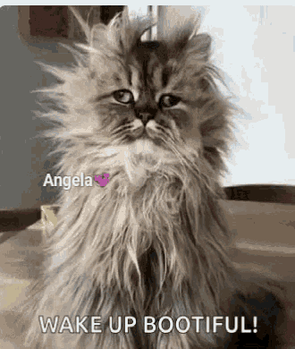 Https Encrypted Tbn0 Gstatic Com Images Q Tbn 3aand9gcrxe Wa8fladdigwnash4ycbb9nws2mwjaqayhfngjfgeh9abvz