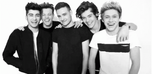 one direction history link one direction history link