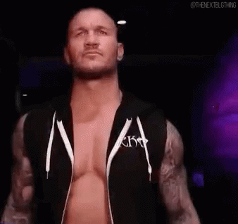 Image result for wwe randy orton gifs