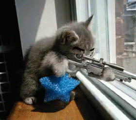 機関銃 猫 にゃんちゃん Gif Machinegun Cat Discover Share Gifs 機関銃 猫 にゃんちゃん Gif Machinegun Cat Discover Share Gifs