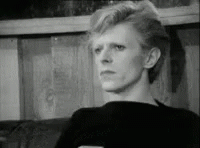 Image result for david bowie clapping gif
