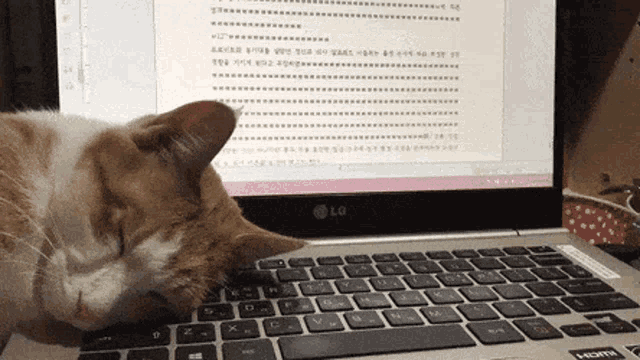 Cat Asleep GIF Cat Asleep AsleepOnKeyboard Discover & Share GIFs