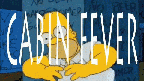 The Simpsons Homer GIF - TheSimpsons Homer CabinFever - Discover ...