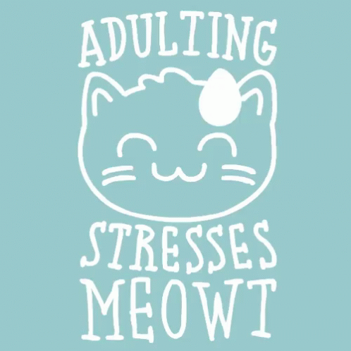 Image result for adulting stresses meowt gif