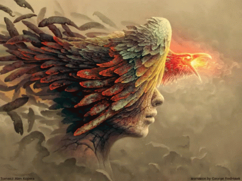 Red Hawk Gif Red Hawk Redhawk Discover Share Gifs Red Hawk Gif Red Hawk Redhawk Discover Share Gifs