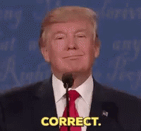 Correct Donald Trump GIF - Correct DonaldTrump Yup GIFs