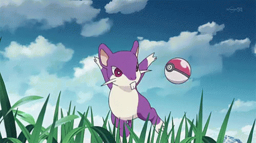 Image result for Rattata gif