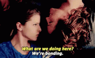 We're Bonding. GIF - Bonding WhatAreWeDoingHere WereBonding ...