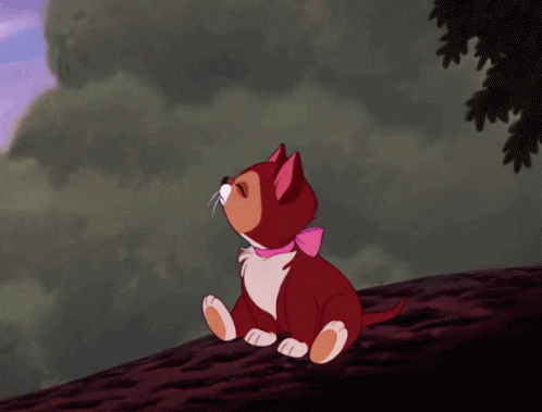 nop nope gif nop nope no discover share gifs