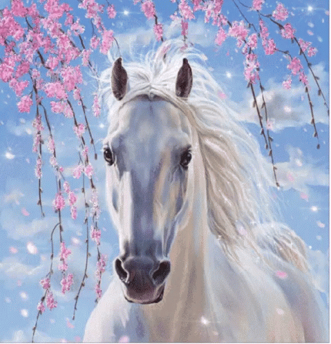 Afbeeldingsresultaat voor white horse gif