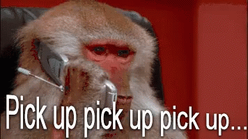 Pick Up GIF - PickUp Monkey Phone GIFs