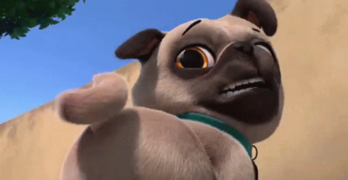 Risultato immagini per cane scodinzola gif