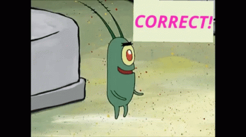 correct plankton gif correct