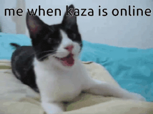 Kassa Kaza GIF - Kassa Kaza Kassa Online GIFs