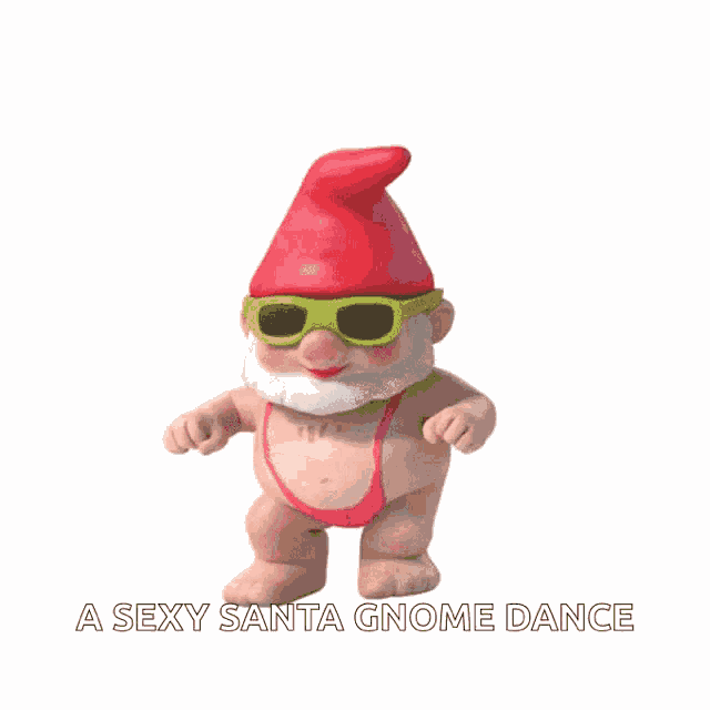 a gnome wearing sunglasses and a bikini is dancing with the words a sexy santa gnome dance below it