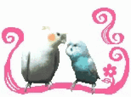 a couple of birds kissing each other on a pink ribbon .
