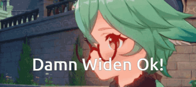 a picture of a girl with glasses and the words " damn widen ok "