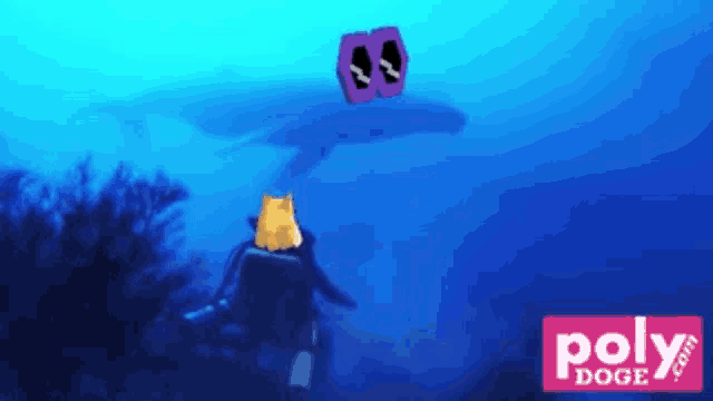 a scuba diver is looking at a whale in the ocean with a poly doge logo in the background