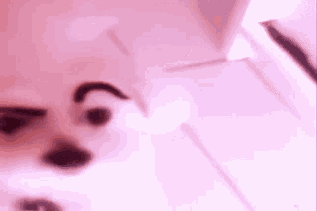 a close up of a white dog 's face on a pink background .