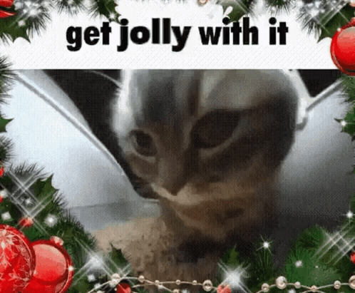 Get Jolly With It Christmas GIF - Get Jolly With It Christmas Cat GIFs