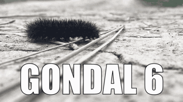 Gondal Six GIF - Gondal Six Caterpillar GIFs