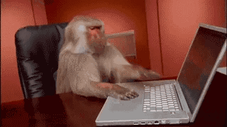 Monkey Computer GIF - Monkey Computer GIFs