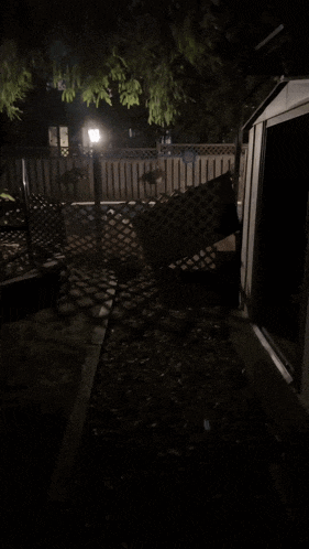 a dog sits in a fenced in area in the dark