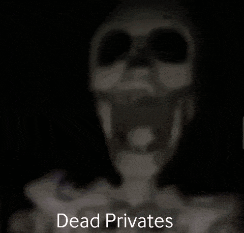 a blurry picture of a ceiling fan with the words dead privates written below it