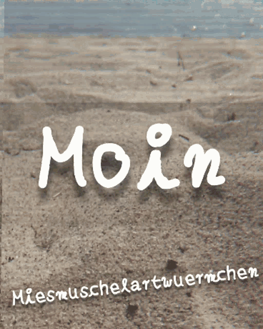 the word moin is written in white on a sandy beach