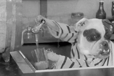 Weekend Alcohol GIF - Weekend Alcohol Friday GIFs