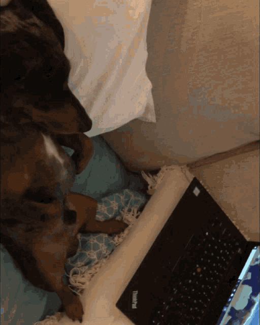Chill Funny GIF - Chill Funny You Tube GIFs