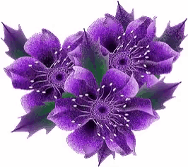 a bouquet of purple flowers with green leaves on a white background