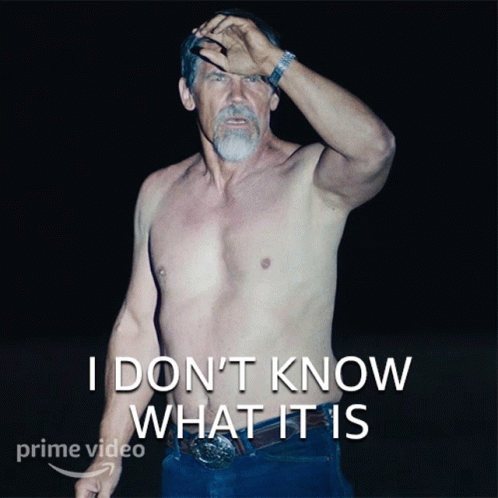 I Dont Know What It Is Royal Abbott GIF - I Dont Know What It Is Royal Abbott Josh Brolin GIFs