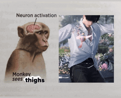 a picture of a monkey next to a picture of a man with the words monkey sees thighs