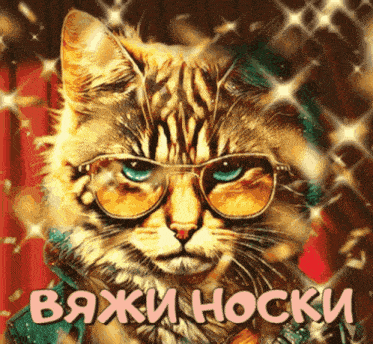 a cat wearing glasses and a jacket with the word socks written below it