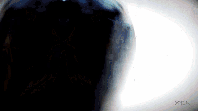 Blindspot Daniela Edit Tthings GIF