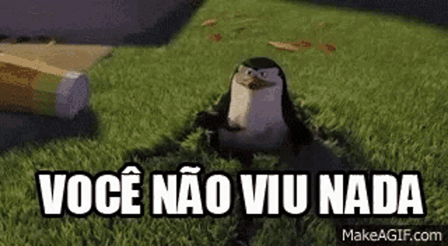 Penguin Of Madagascar Vocênão Viu Nada GIF
