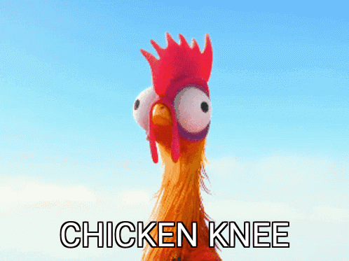 Chicken Chicken Knee GIF - Chicken Chicken Knee Knee GIFs