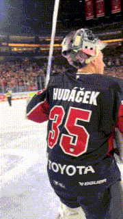 a hockey player wearing a hudacek jersey with the number 35 on it