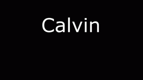 Calvin Caleb GIF - Calvin Caleb Gachi GIFs