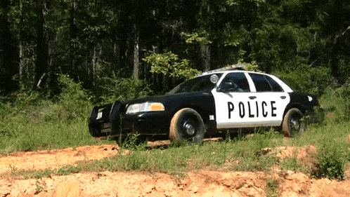 Ford Crown Vic Police Car GIF