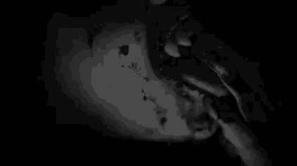 a black and white photo of a person 's face with blood coming out of it in a dark room .