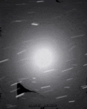 a black and white photo of a person standing in the snow with the name marul akashi written on the bottom