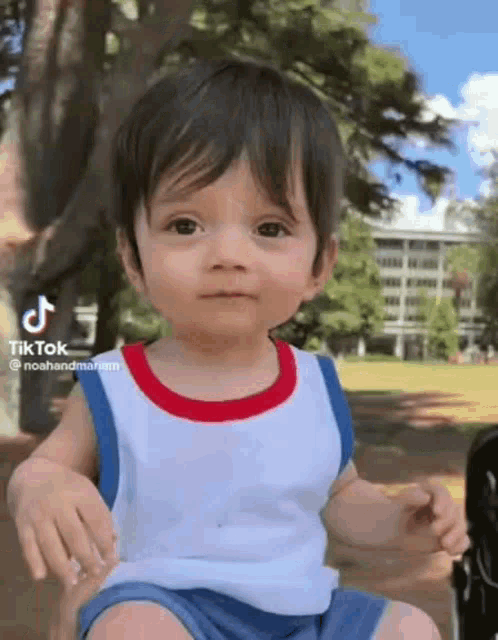 a baby is sitting in a stroller in a park and looking at the camera .