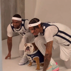 a bulldog wearing a nike jersey with the number 28 on it